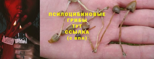 прущий лед Лагань